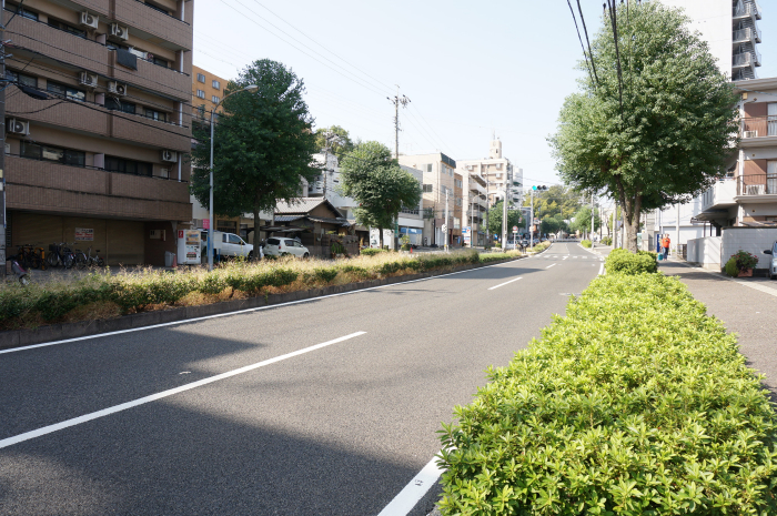 南側前面道路